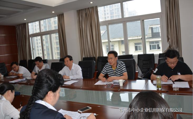 市中小擔(dān)保公司開展支部主題黨日活動(dòng)