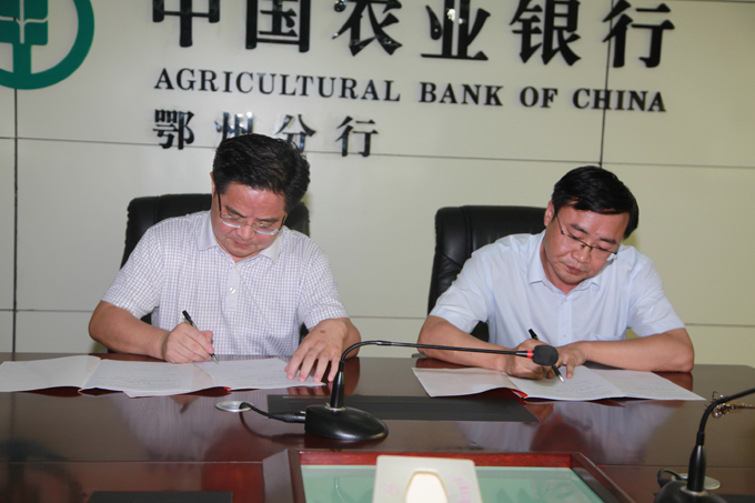 市中小企業(yè)擔保公司與市農業(yè)銀行簽訂合作協(xié)議